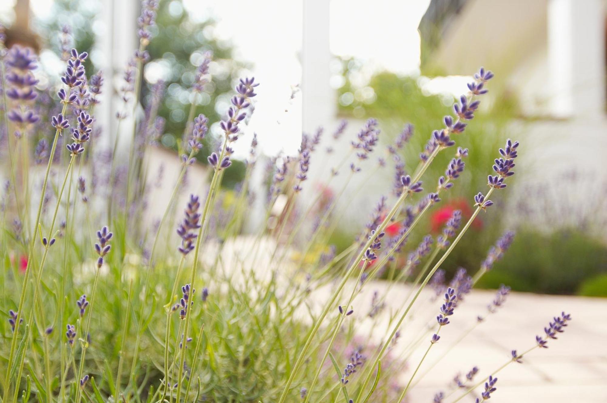 Naturhotel Ruegers Forstgut Меспелбрун Екстериор снимка