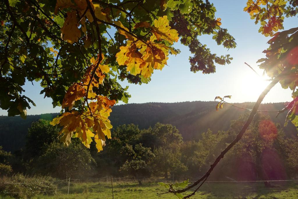 Naturhotel Ruegers Forstgut Меспелбрун Екстериор снимка